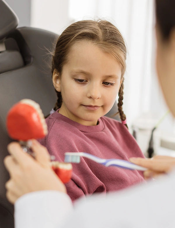 Dentist Showing How To Brush Teeth